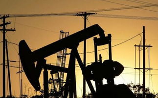 石油霸主夢(mèng)碎 俄羅斯能源出口面臨多重挑戰(zhàn)